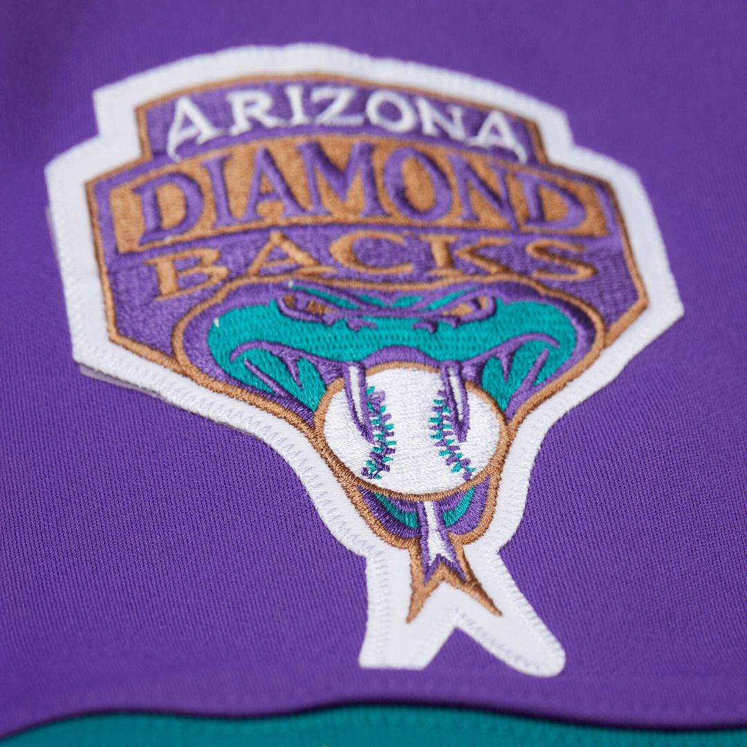Arizona Diamondbacks Randy Johnson | Mitchell & Ness Black 2001 Authentic Jersey