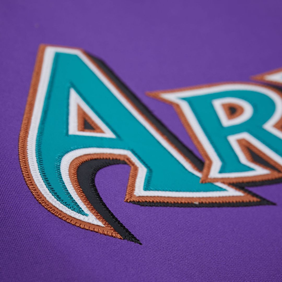 Arizona Diamondbacks Randy Johnson | Mitchell & Ness Black 2001 Authentic Jersey