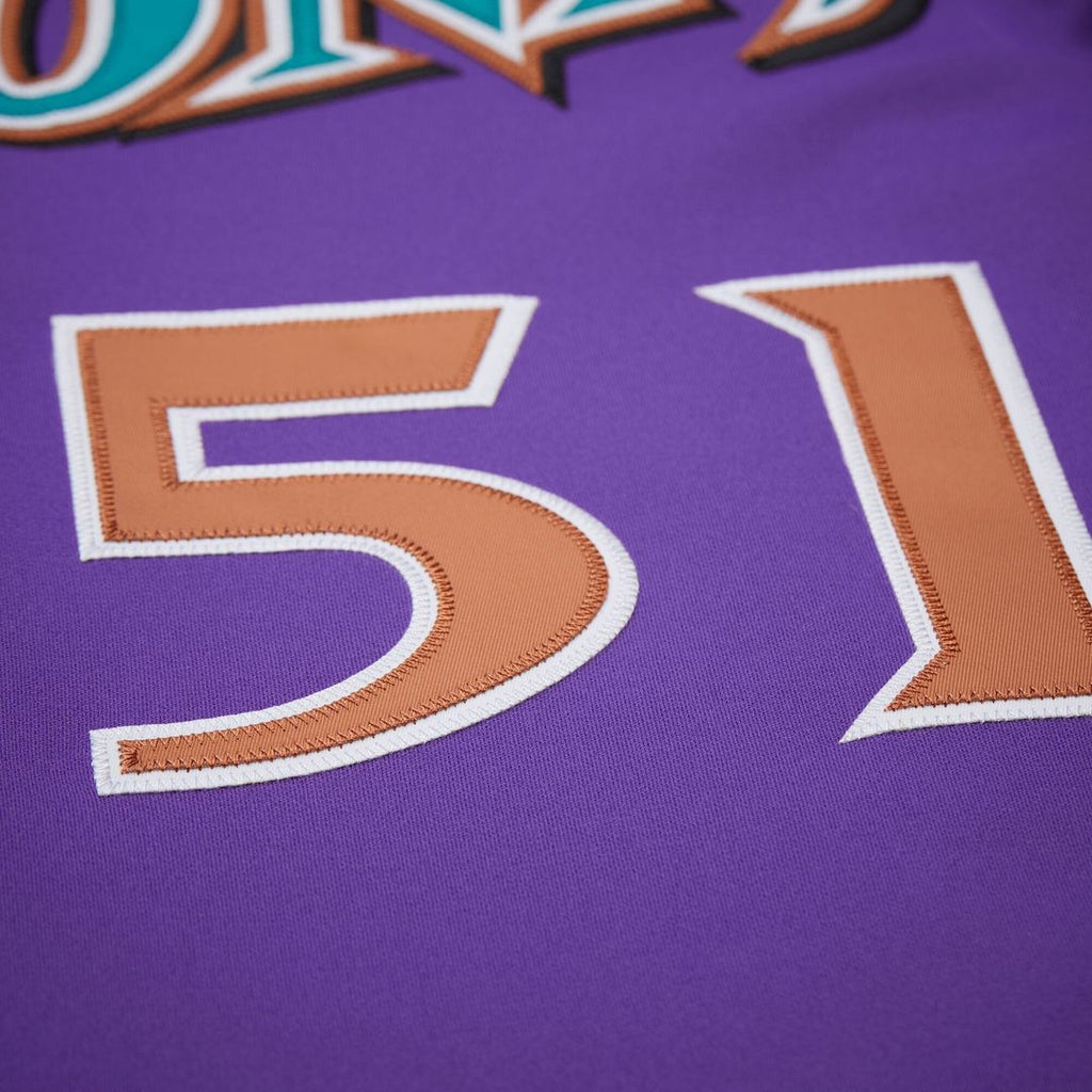 Arizona Diamondbacks Randy Johnson | Mitchell & Ness Black 2001 Authentic Jersey