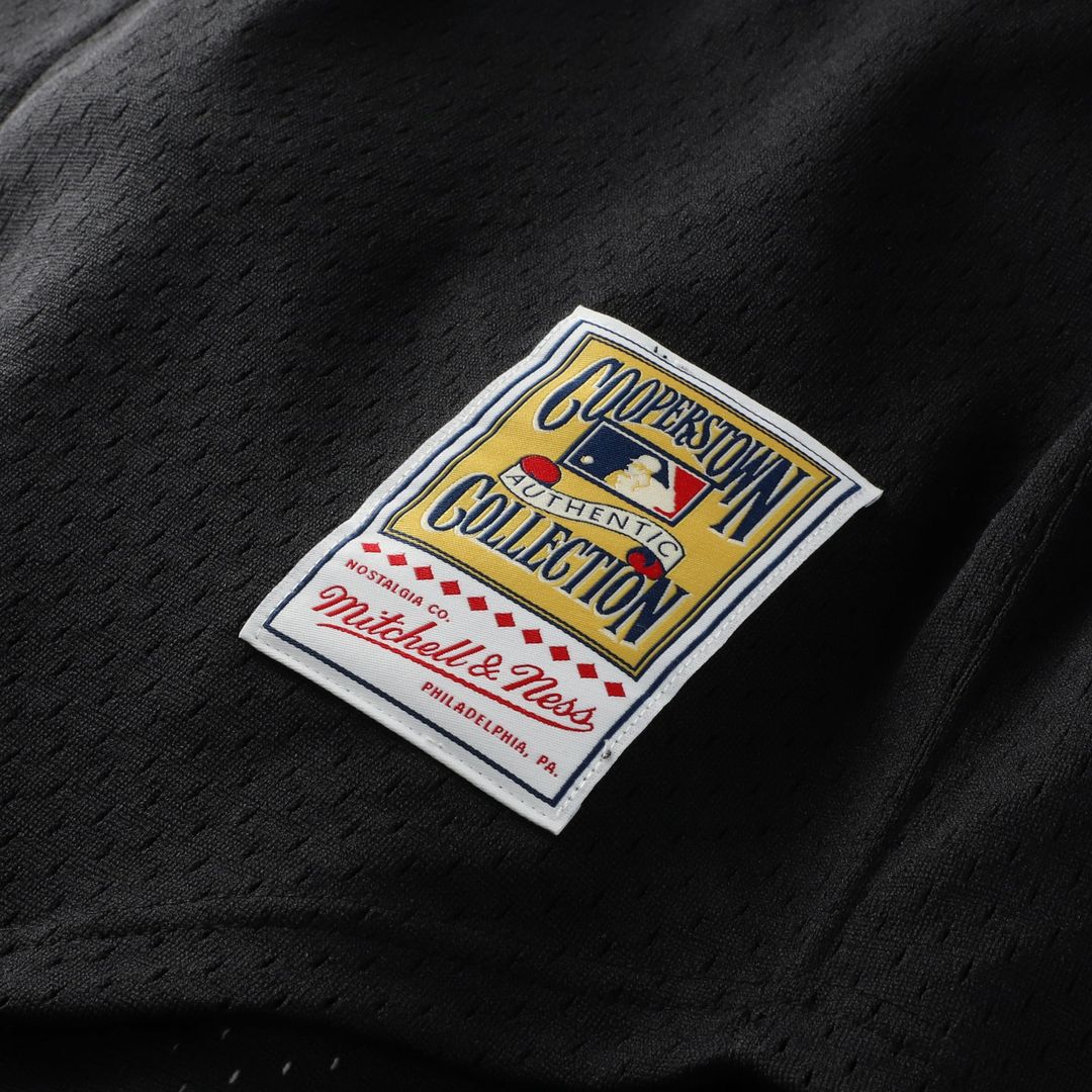 Arizona Diamondbacks Randy Johnson | Mitchell & Ness Black Big & Tall Cooperstown Mesh Batting Practice Jersey