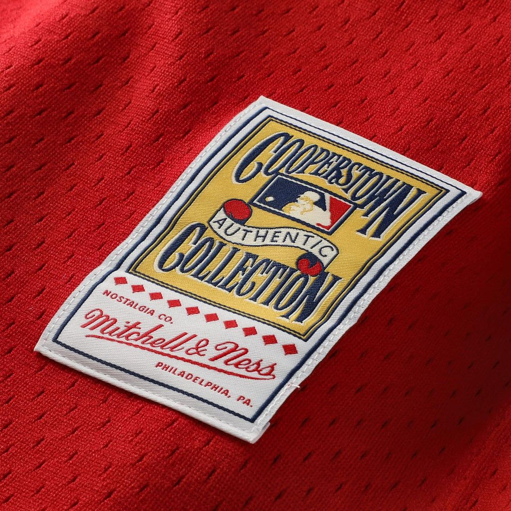 Cincinnati Reds Johnny Bench | Mitchell & Ness Red Cooperstown Collection Big & Tall Mesh Batting Practice Jersey