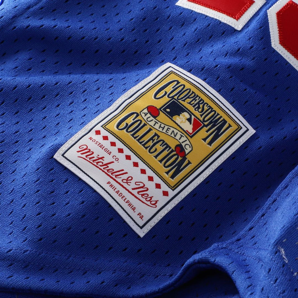 Montreal Expos Pedro Martinez | Mitchell & Ness Blue Cooperstown Collection Mesh Batting Practice Button-Up Jersey