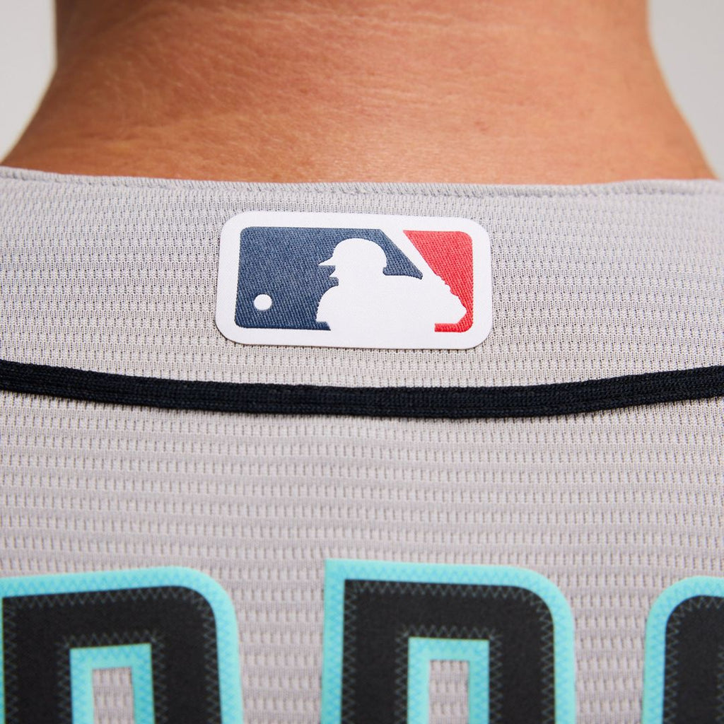Arizona Diamondbacks Corbin Carroll | Nike Crimson Alternate 2 Replica Jersey