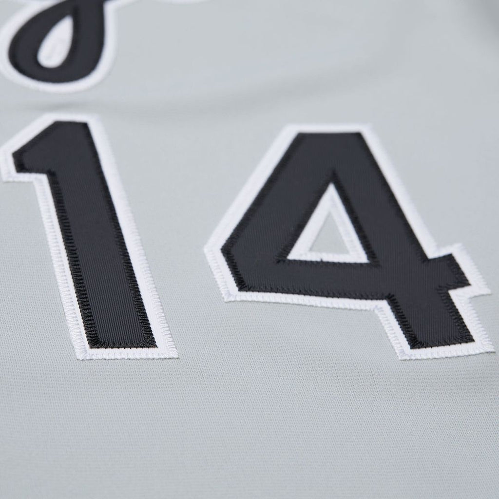 Chicago White Sox Paul Konerko | Mitchell & Ness Gray 2005 Cooperstown Collection Authentic Jersey
