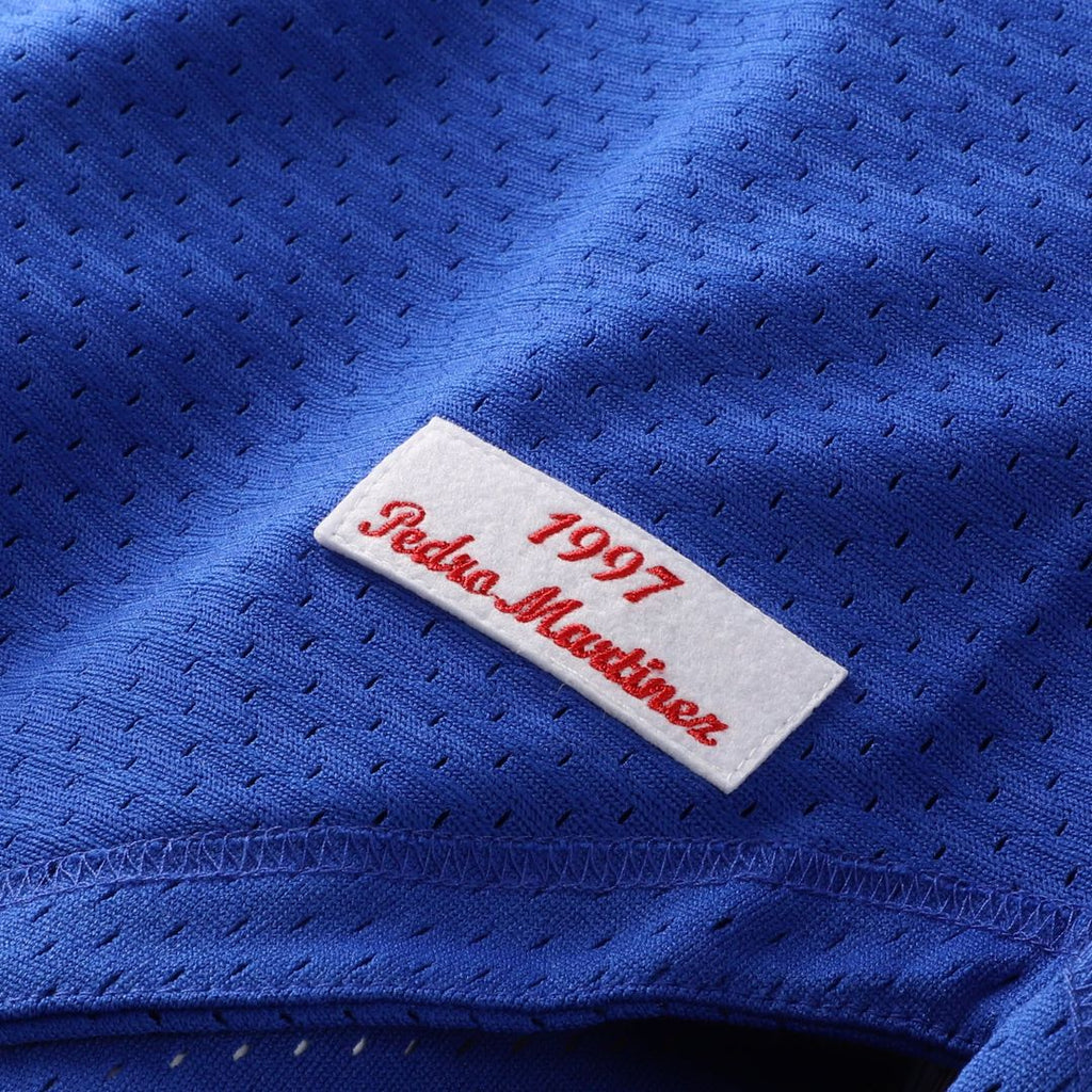 Montreal Expos Pedro Martinez | Mitchell & Ness Blue Cooperstown Collection Mesh Batting Practice Button-Up Jersey