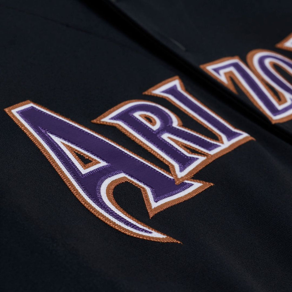 Arizona Diamondbacks Randy Johnson | Mitchell & Ness Purple 2000 Throwback Authentic Jersey