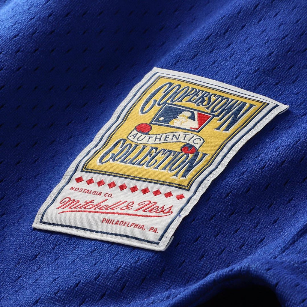 Chicago Cubs Ryne Sandberg | Mitchell & Ness Royal Cooperstown Collection 1996 Mesh Batting Practice Button-Up Jersey